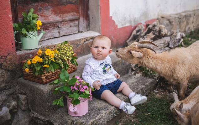 FAMÍLIA de Mini Sessões Dia da Criança
