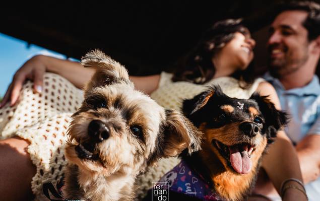 Casamentos de Ensaio gestante em Águas de Santa Bárbara – Carol e Mateus