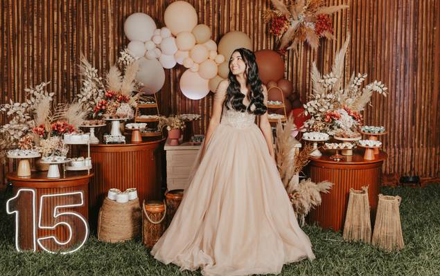 15 anos de Luiza - xv