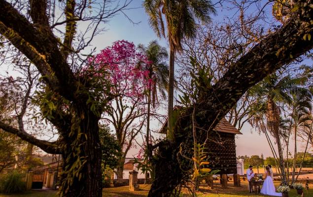 Pré-Wedding de Elopement Wedding
