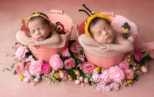 Newborn de Serena e Hannah - Primeiros Dias