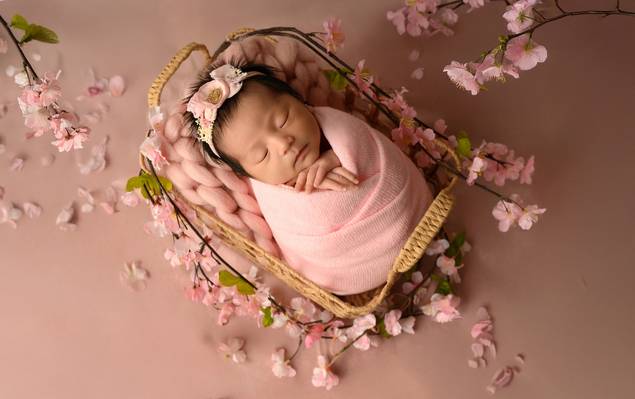 Newborn de Isadora- Primeiros Dias