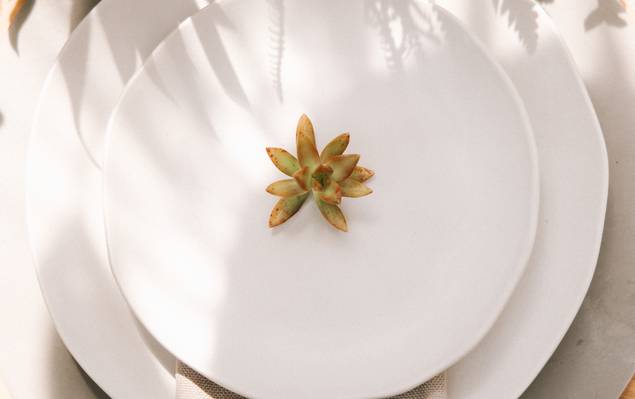 CASAMENTOS de Patrícia e Thiago 