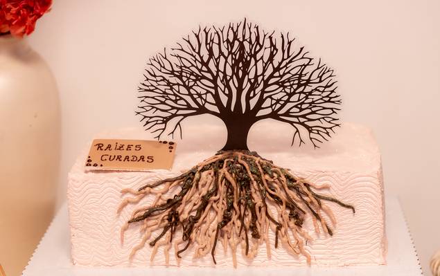 Eventos Patrocinados de Palestra Raizes Curadas em Campinas/SP