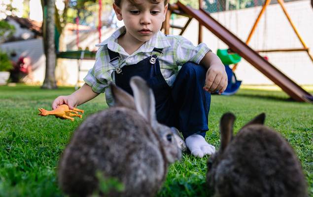 Aniversário Infantil de 2 aninhos Estevão
