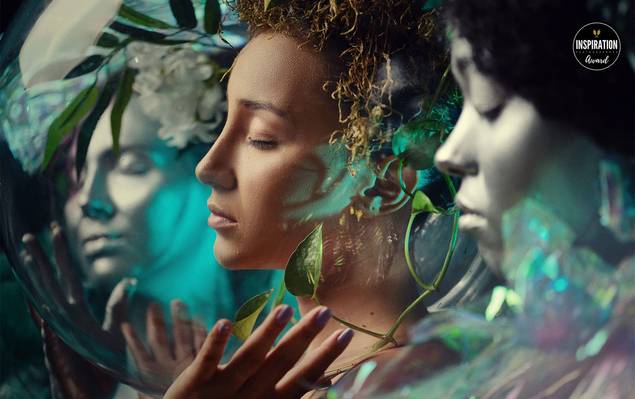 Telas de Alinhamento