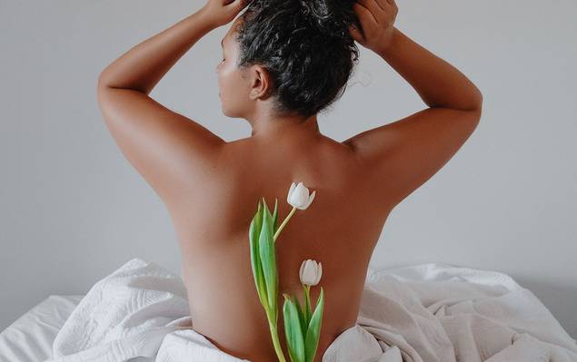 Telas de Tulipa - Renascimento