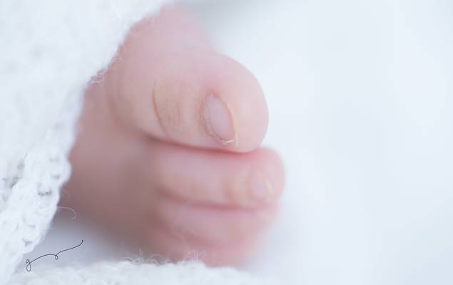 NEWBORN de  João Felipe-Primeiros dias