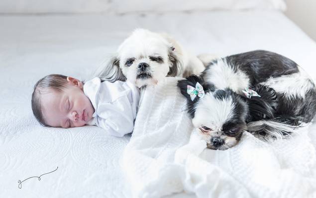 NEWBORN de Miguel em seus primeiros dias
