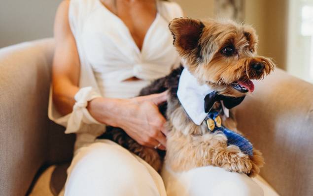 Casamento de Dayane & Tafarel