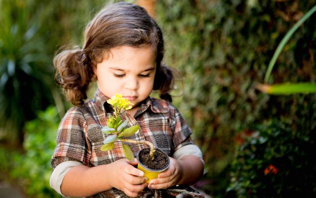 Ensaio infantil externo de Manu