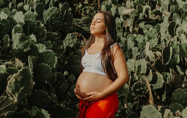 GESTAR EXTERNO de MEMÓRIAS PARA MARINA