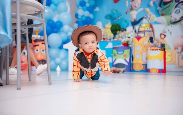 Aniversário Infantil de Noah                          