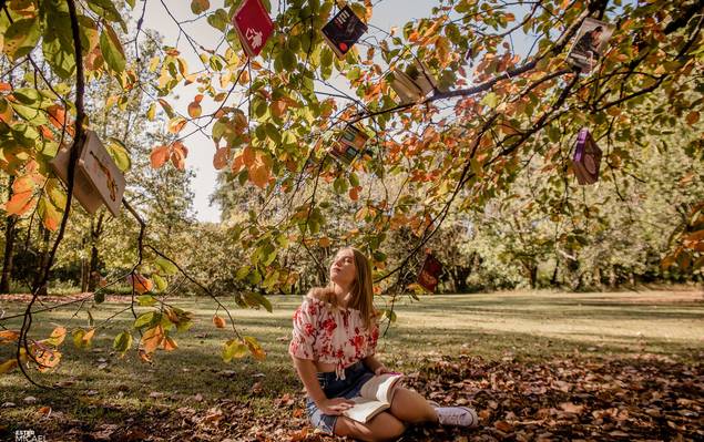 Quinze anos de Manu Mueller | Ensaio