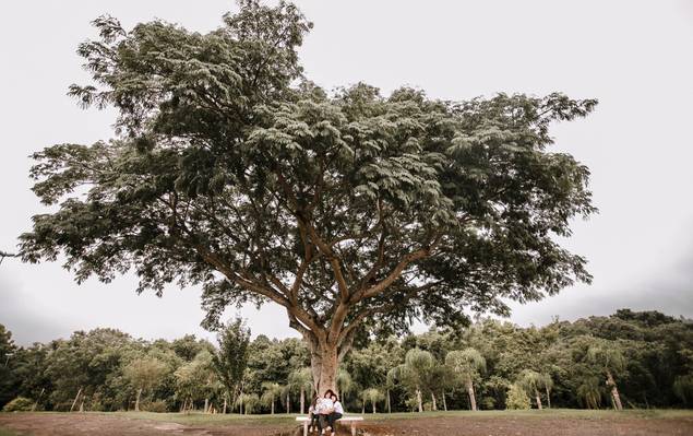 Ohana Família de Fotografia de Família | Ensaio Infantil | Rafaela e Estela