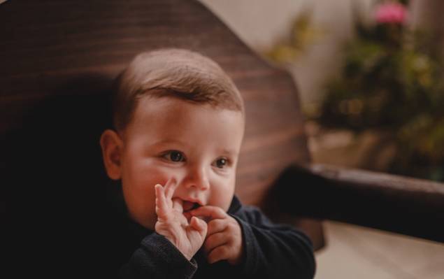 Ohana Família de Fotografia de Família | Acompanhamento Bernardo