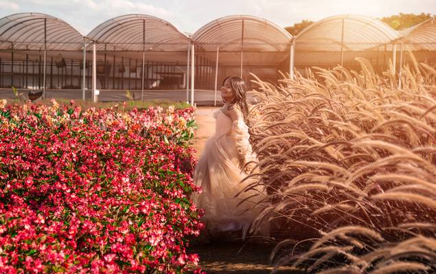 15 anos de Seu sonho em Holambra | A cidade das flores