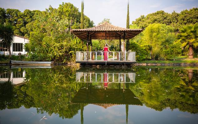 15 Anos de Sara  Ensaio 15 Anos 