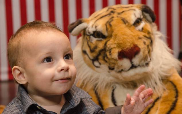 ANIVERSARIO de Pedro 1 ano