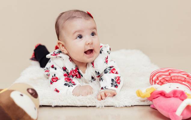 Família/Lifestyle de Acompanhamento Estudio