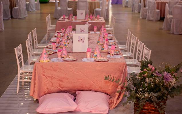 Aniversário Infantil de 1°  aninho da Alana 