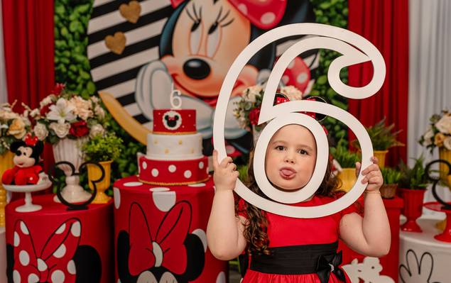 Aniversário infantil de Sophia 6 anos