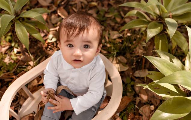 Acompanhamento mensal de Acompanhamento Mensal | Rafael 7 meses