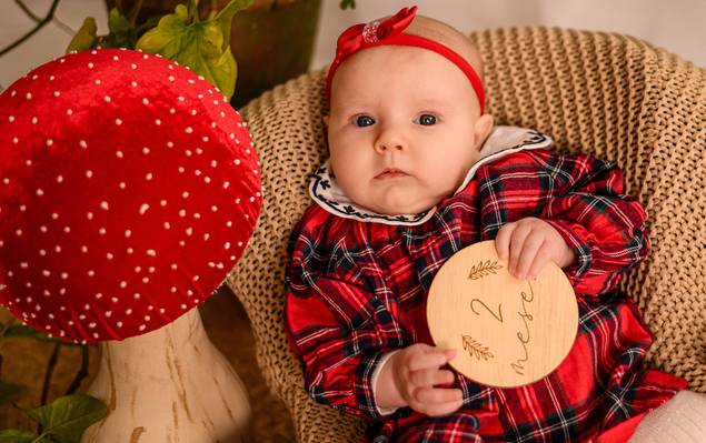 Acompanhamento mensal de ACOMPANHAMENTO MENSAL | Lavine 2 meses