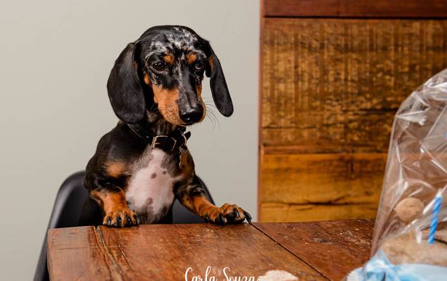 AUniversário de AUniversário do Loki