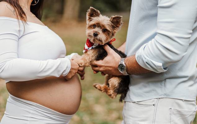 Gestante de A Espera do Gabriel