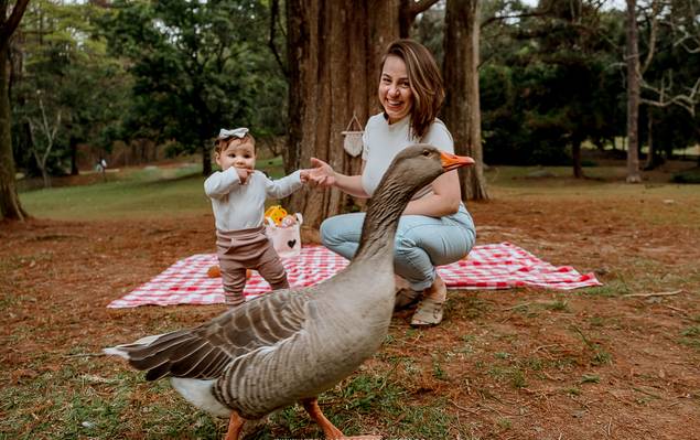 Acompanhamento de bebê de Acompanhamento Trimestral Bebê