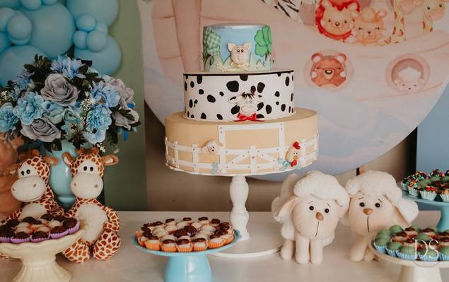 Fotografia Aniversário de   Festa Infantil 