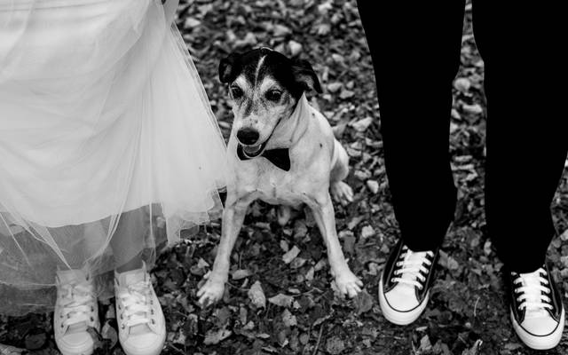 Guía de planificación de fotografía de bodas en Murcia: Captura los momentos más especiales de tu gran día