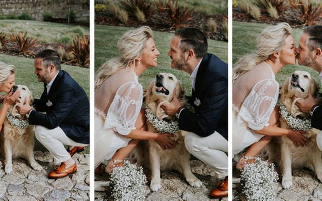 Pets, cães, Animais de Estimação no Casamento