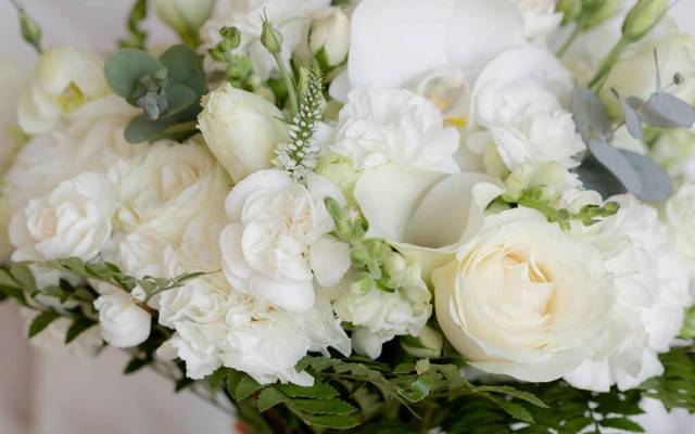 Segredos da Fotografia de Casamento com Rebeca Coutinho