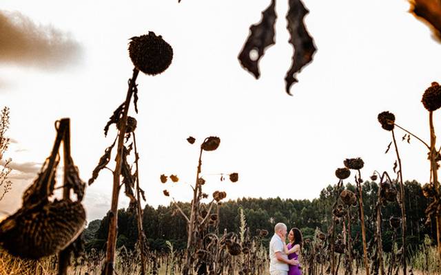 Pré-wedding no campo: como o ambiente transforma a fotografia