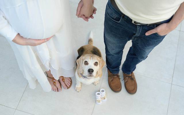 Quando a gestação transforma o olhar: o ensaio que revela a mulher que se torna mãe