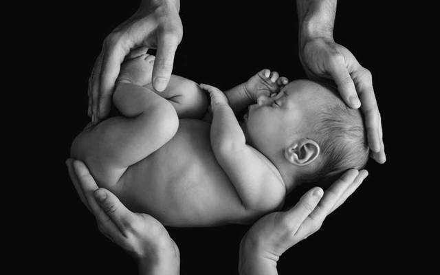 O Que um Recém-Nascido Precisa