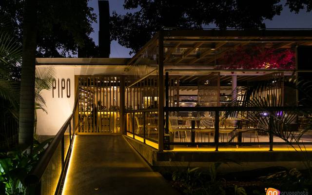 Fotógrafo de Eventos São Paulo SP - Jantar Pipo