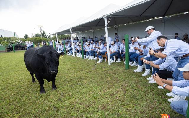 Produtora de Fotografia e Vídeo SP - Select Sires Beef 2024