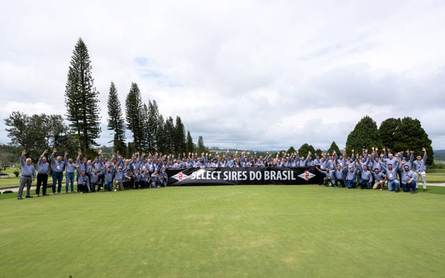 Cobertura Fotográfica e Vídeo Institucional: Convenção Select Sires no Club Med Lake Paradise