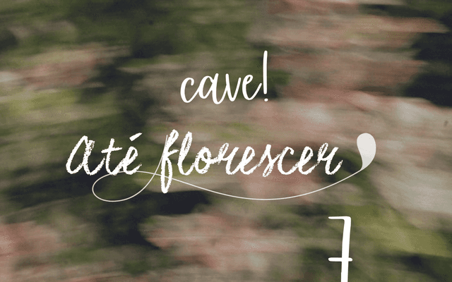 7. Cave!