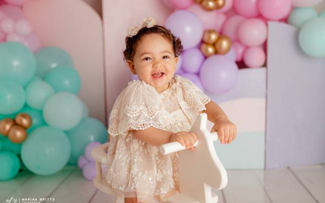 Proposta 2023 - fases do bebê e família