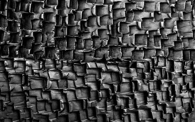 Fotos Distinguidas em Portugal