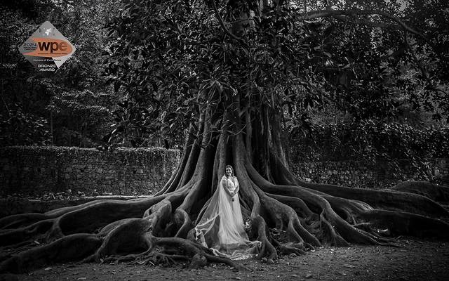 Fotos Distinguidas Internacionalmente