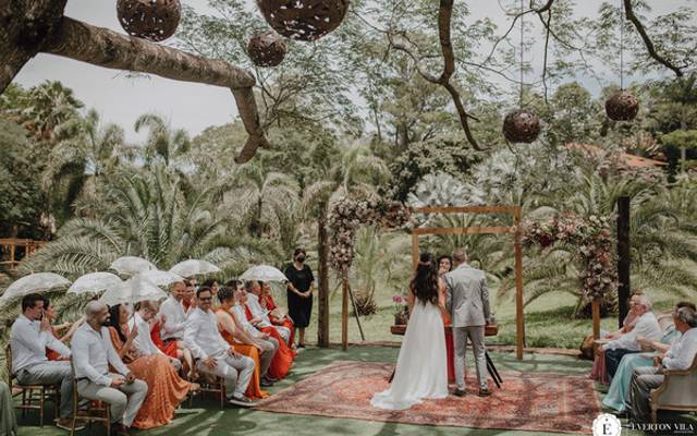Já pensou em se casar debaixo de uma árvore?