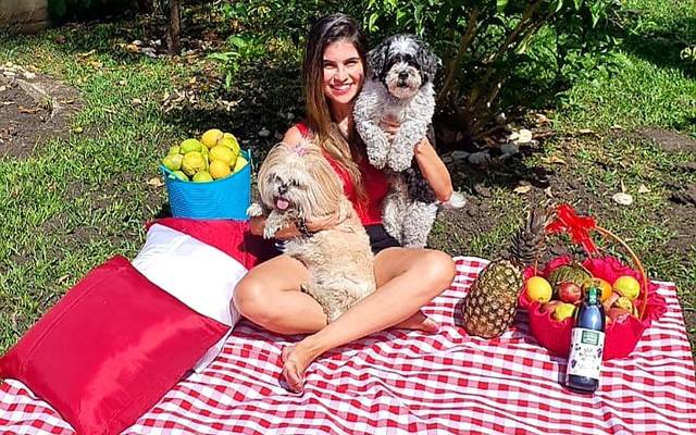 Melhores parques para fazer piquenique com seu pet!