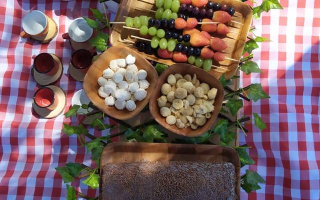 Áreas de piquenique no parque Tanguá!