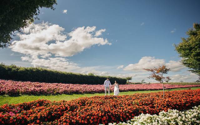 Vale a pena viajar para fazer um ensaio? A história de Izaldo e Thaís no Mátria Parque