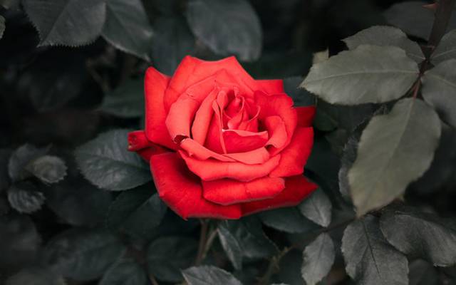 A Transformação Pessoal Através da Fotografia